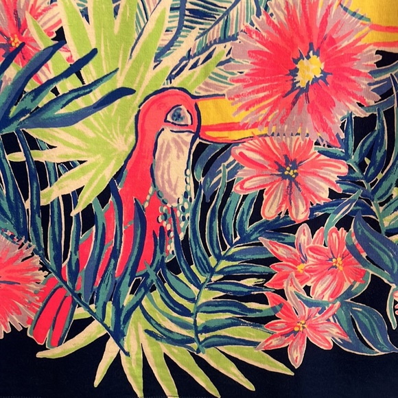 Lilly Pulitzer Harper Shift Dress - Picture 5 of 6